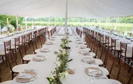 Party Linens Shutterstock 1535210186